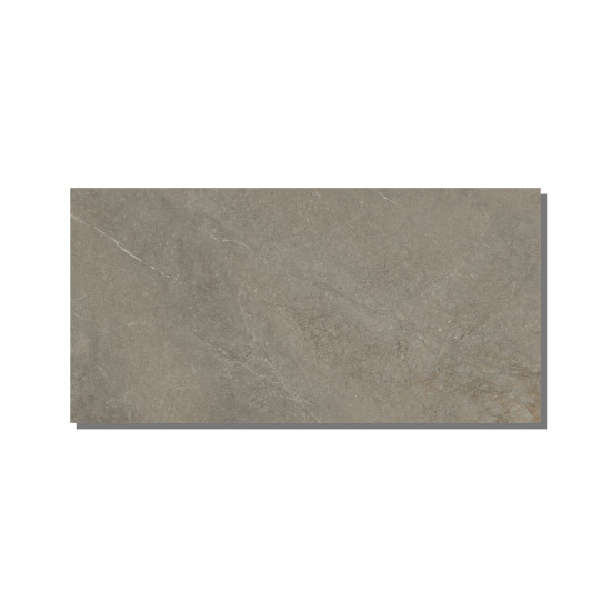 Pločica keramička unutarnja retificirana 60x120 cm SL MUNICH TAUPE MAT (1,44)