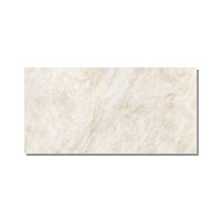Pločica keramička unutarnja retificirana 60x120 cm Taj Mahal Nature mat (1,44)