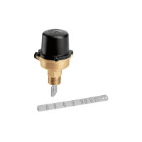 Osjetnik protoka 1" CALEFFI 